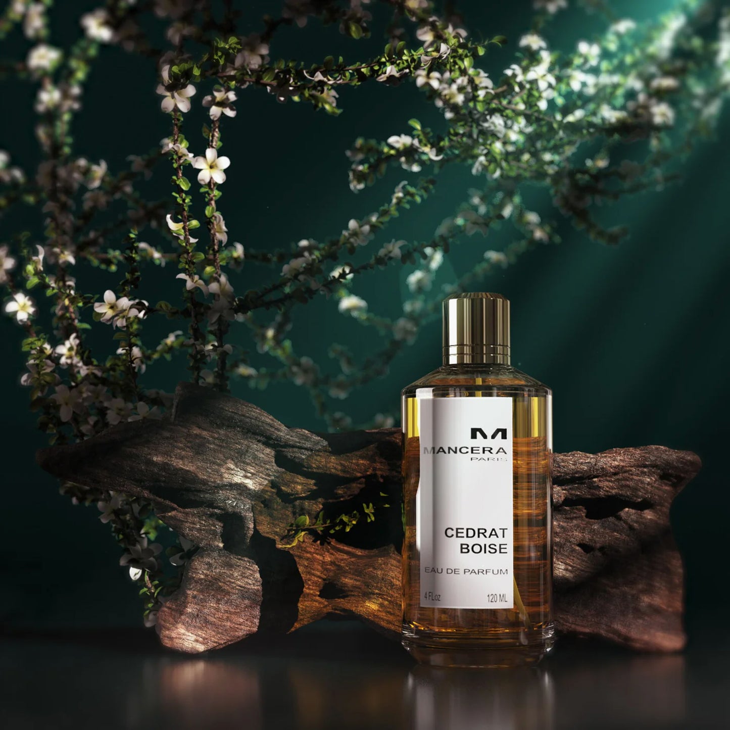 Mancera Paris Cedrat Boise Men Eau De Parfum 120ml