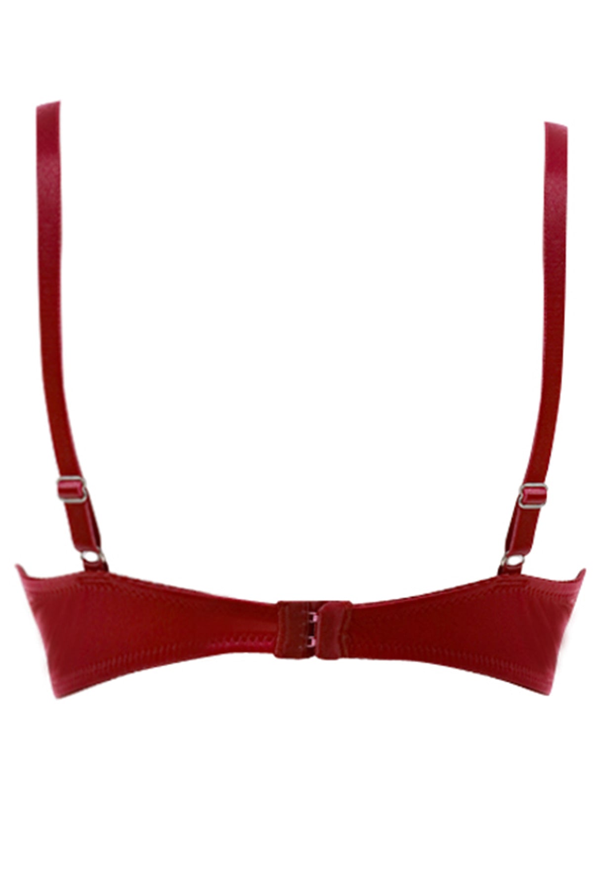 BLS Costanza Wired And Pushup Bra Bordory