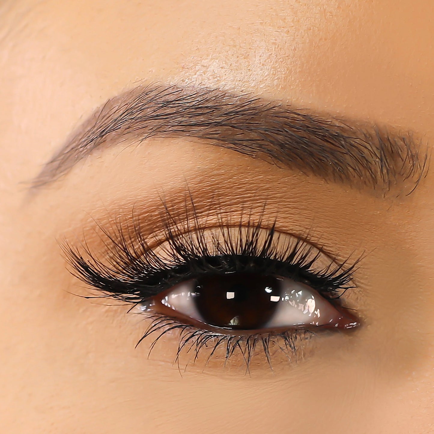 Lurella 3D Mink Eyelashes Alexis 1 Piece