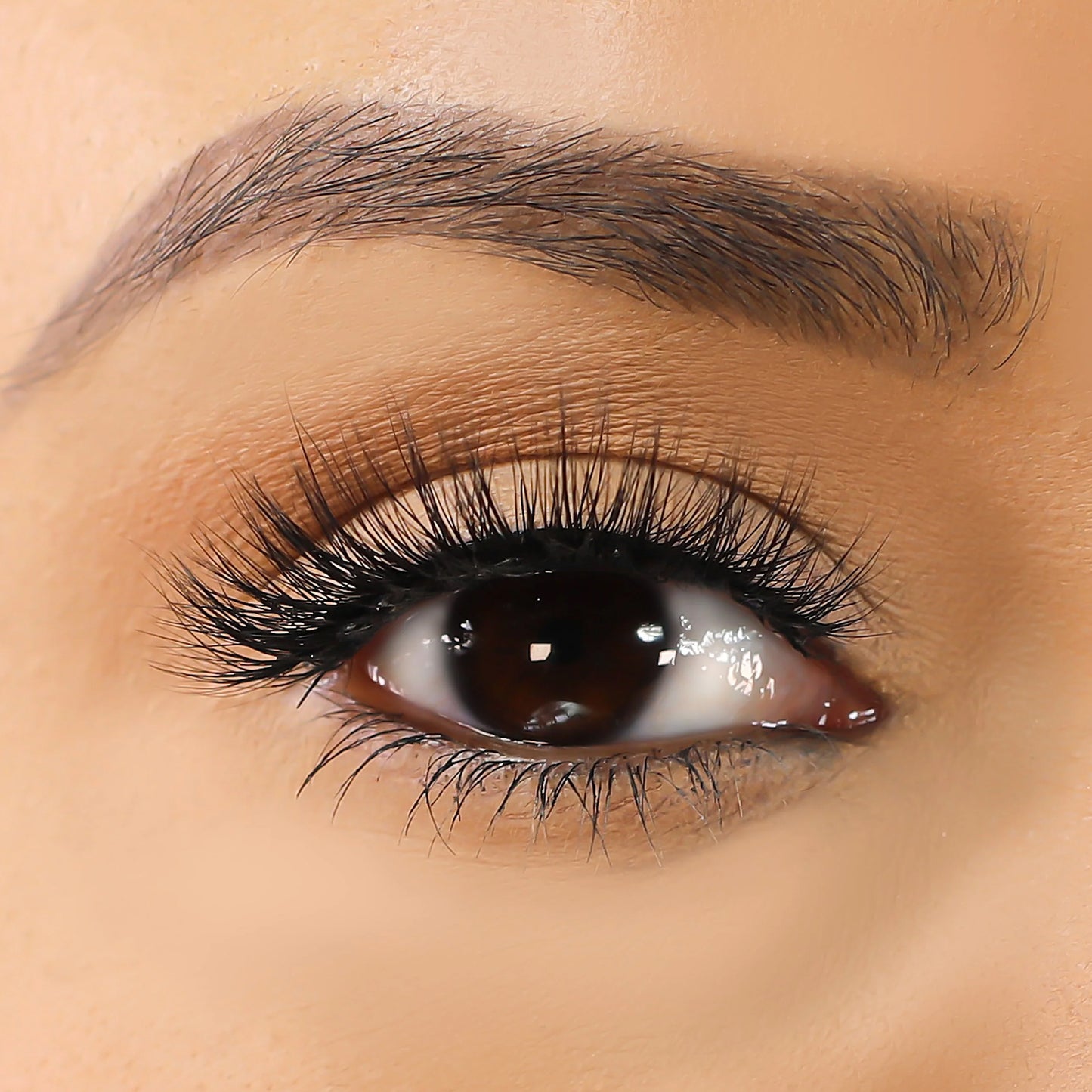 Lurella 3D Mink Eyelashes Caylie 1 Piece