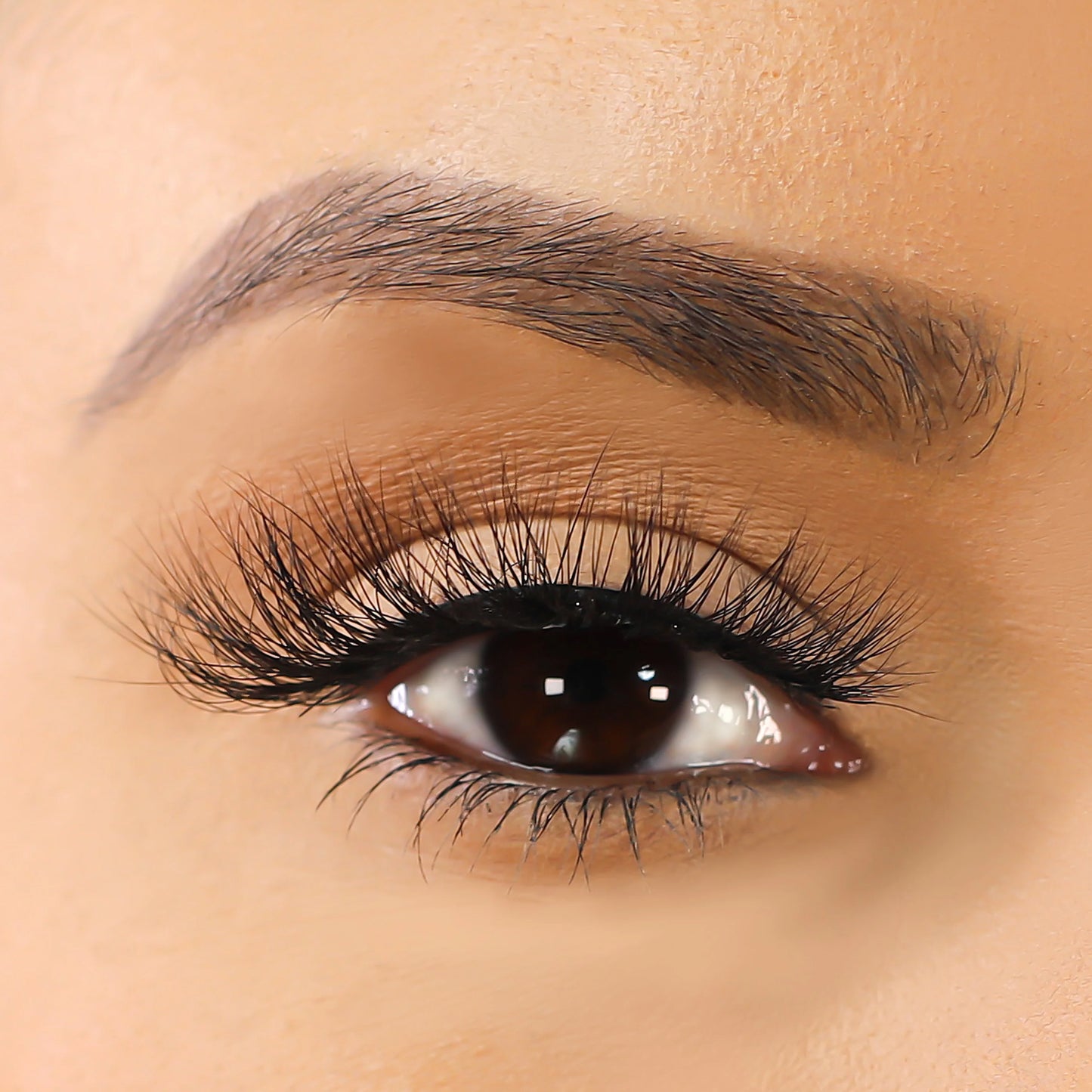 Lurella 3D Mink Eyelashes Emma 1 Piece