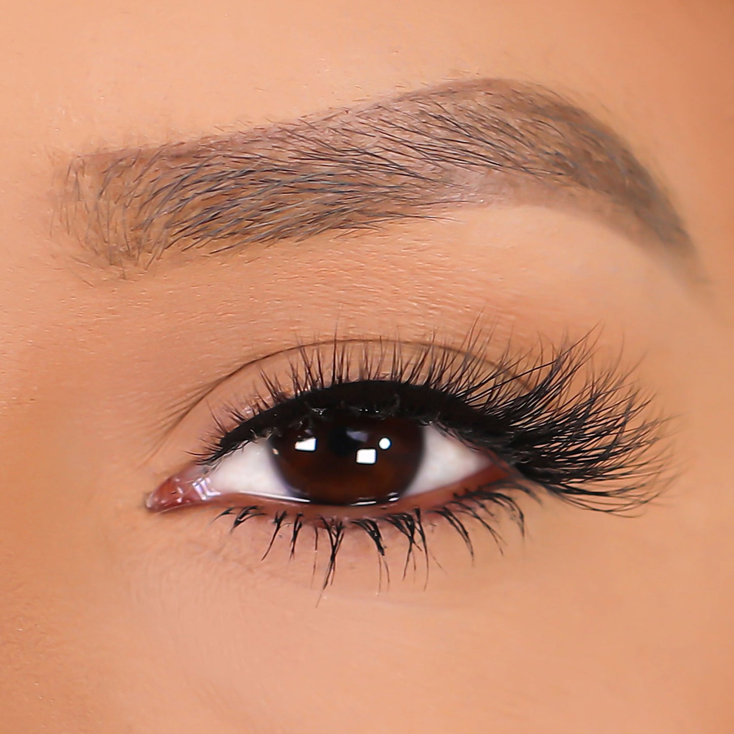 Lurella 3D Mink Eyelashes Isabella 1 Piece