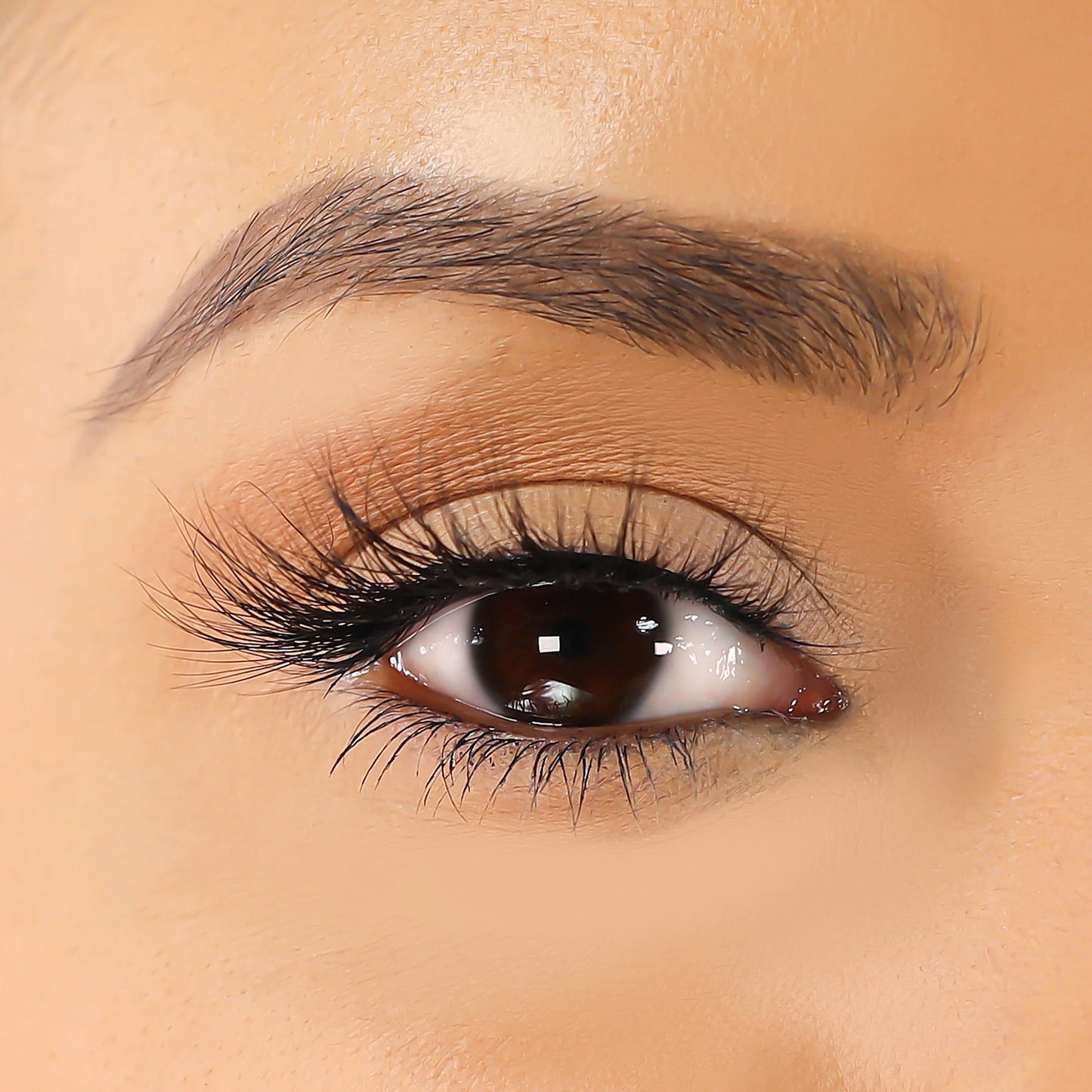 Lurella 3D Mink Eyelashes Issy 1 Piece