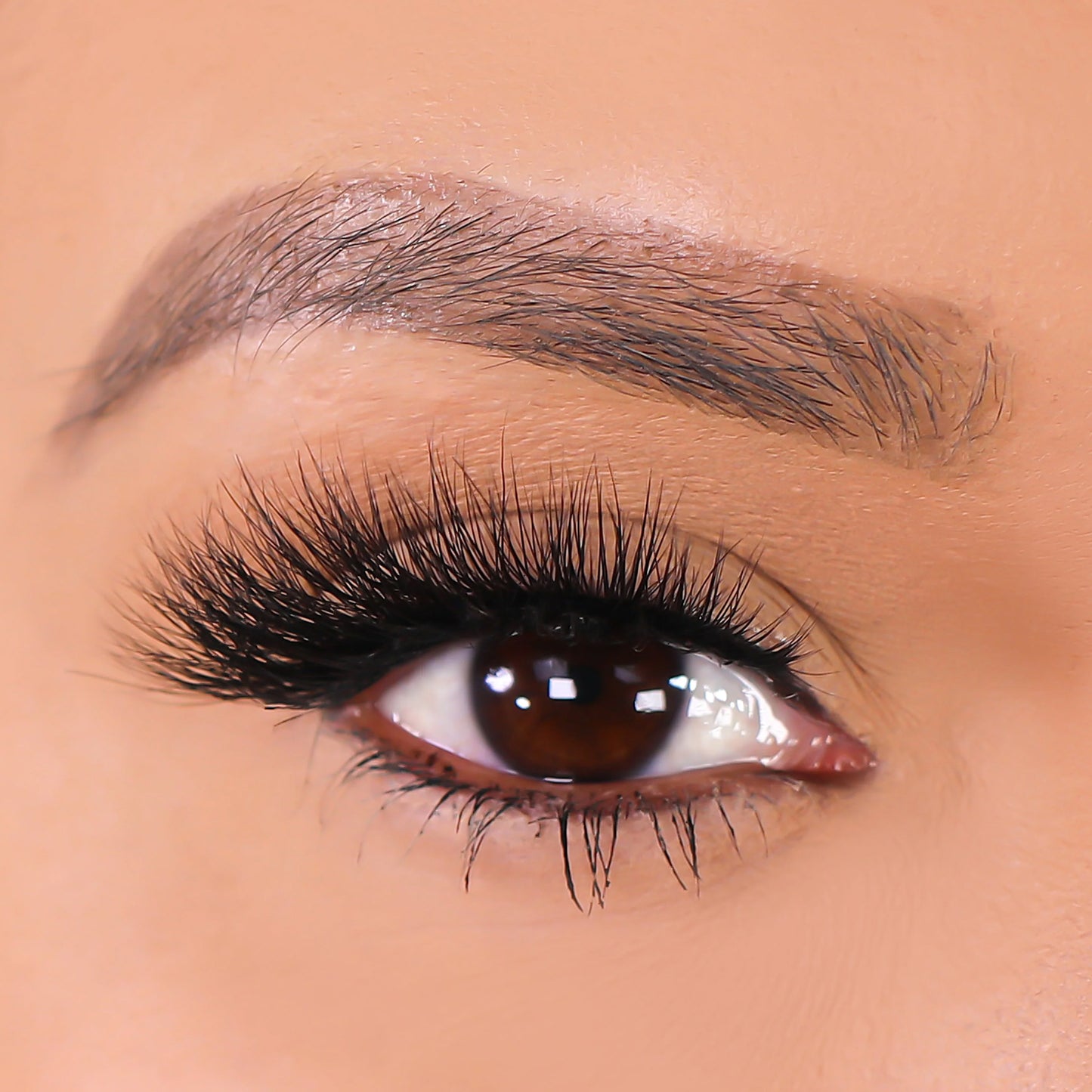 Lurella 3D Mink Eyelashes Lioness 1 Piece