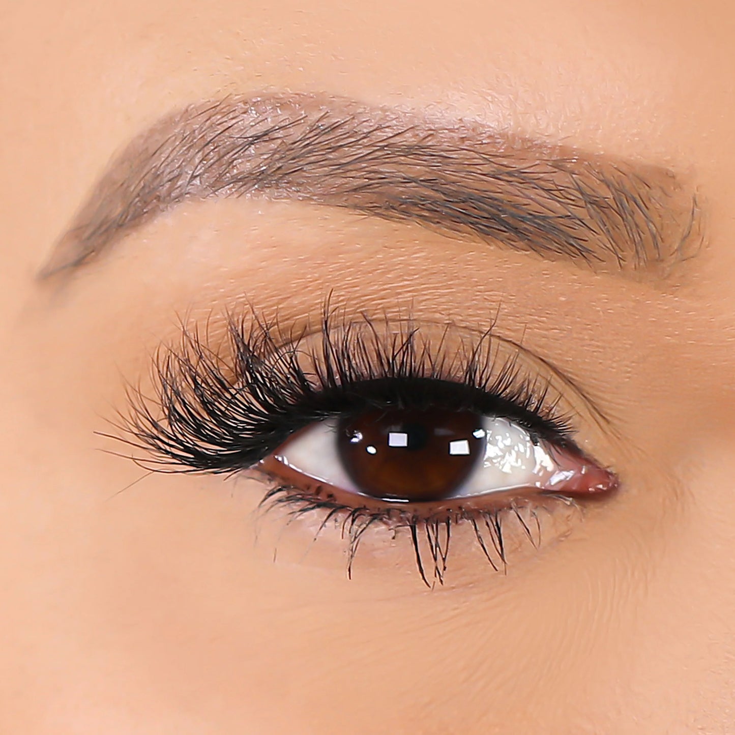 Lurella 3D Mink Eyelashes Nicole 1 Piece