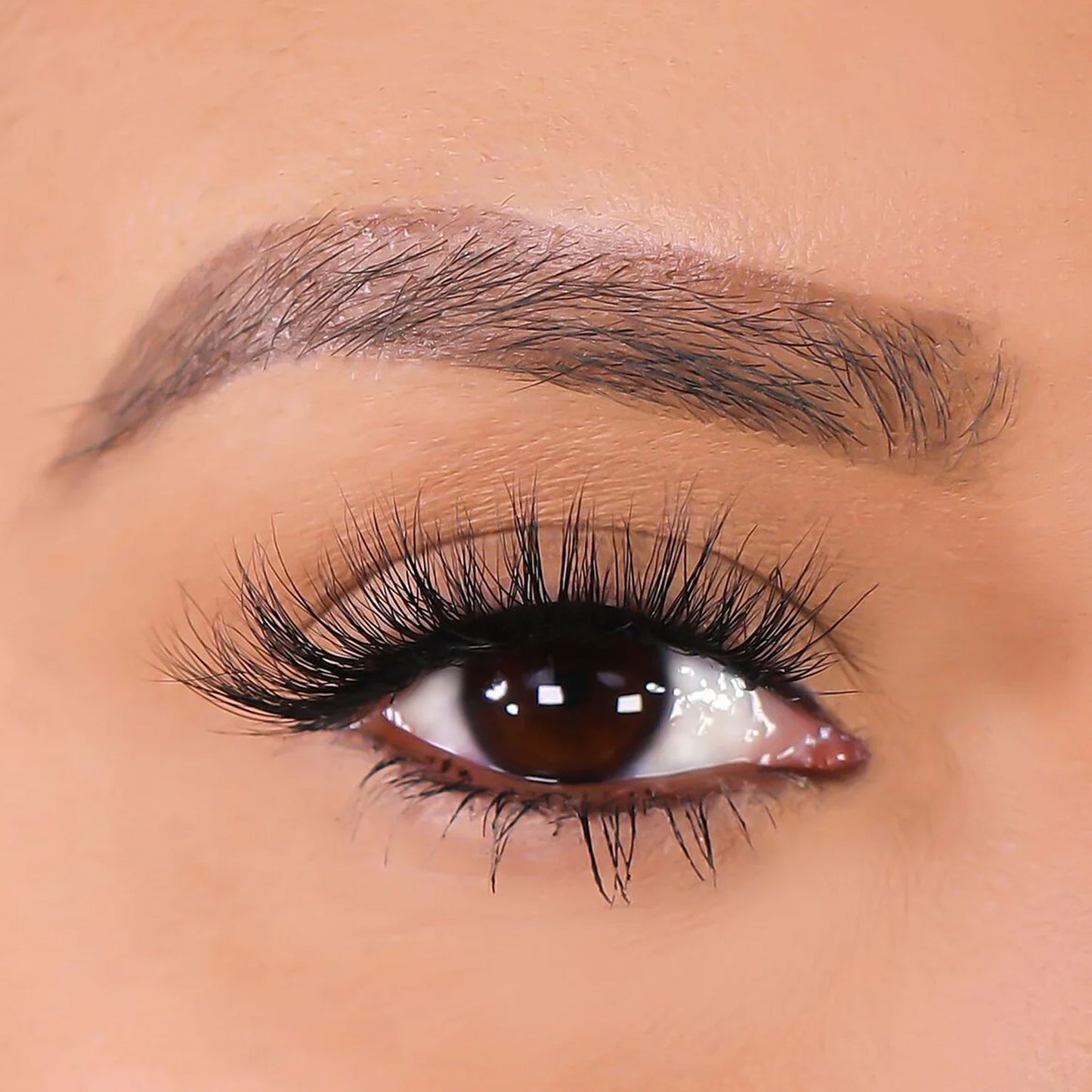 Lurella 3D Mink Eyelashes Parrish 1 Piece