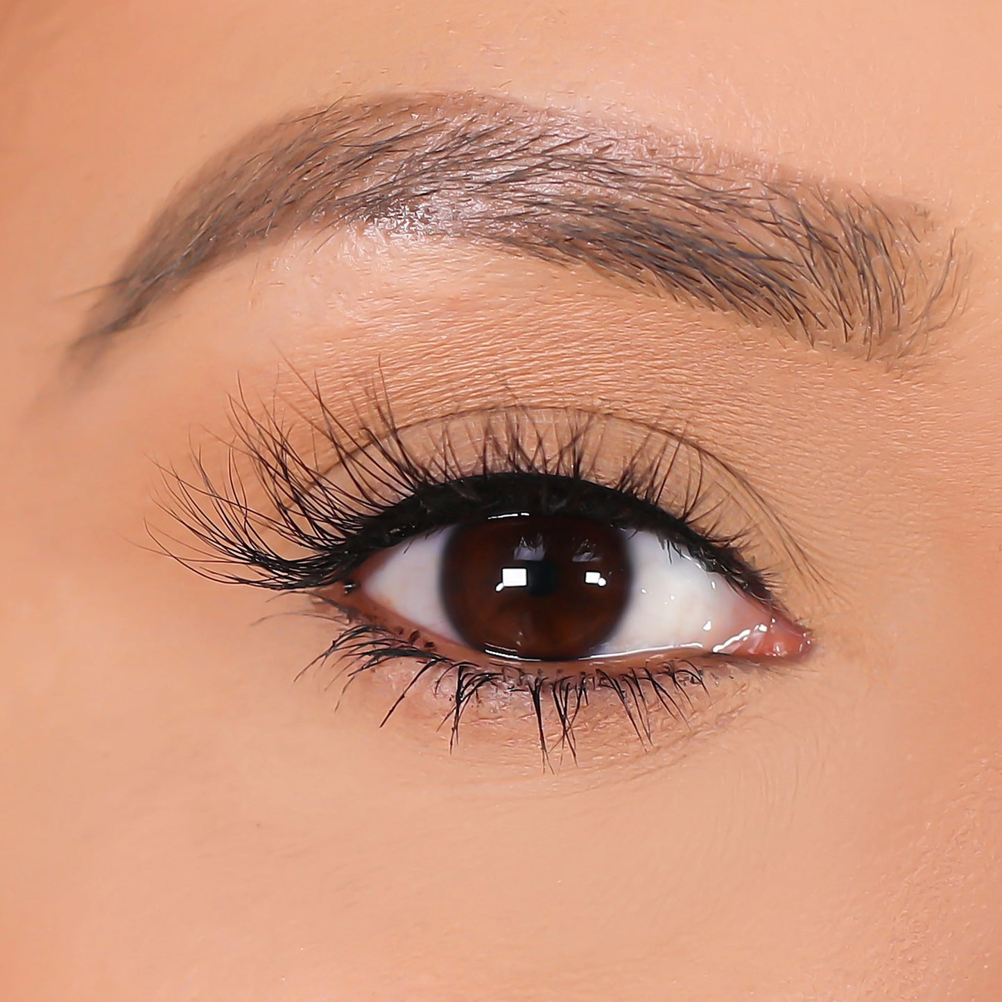 Lurella 3D Mink Eyelashes Serina 1 Piece