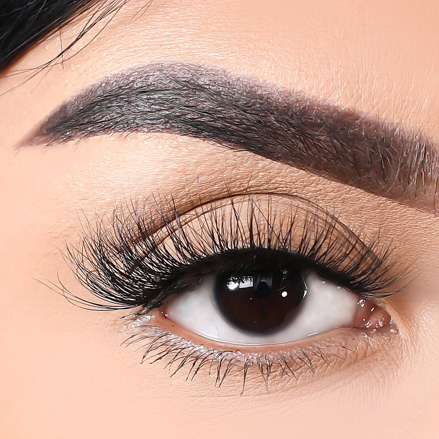 Lurella 3D Mink Eyelashes Snake 1 Piece