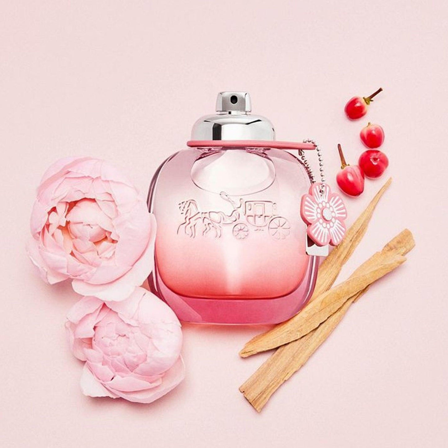Coach New York Floral Blush Eau De Parfum 90ml - TheSkinFit