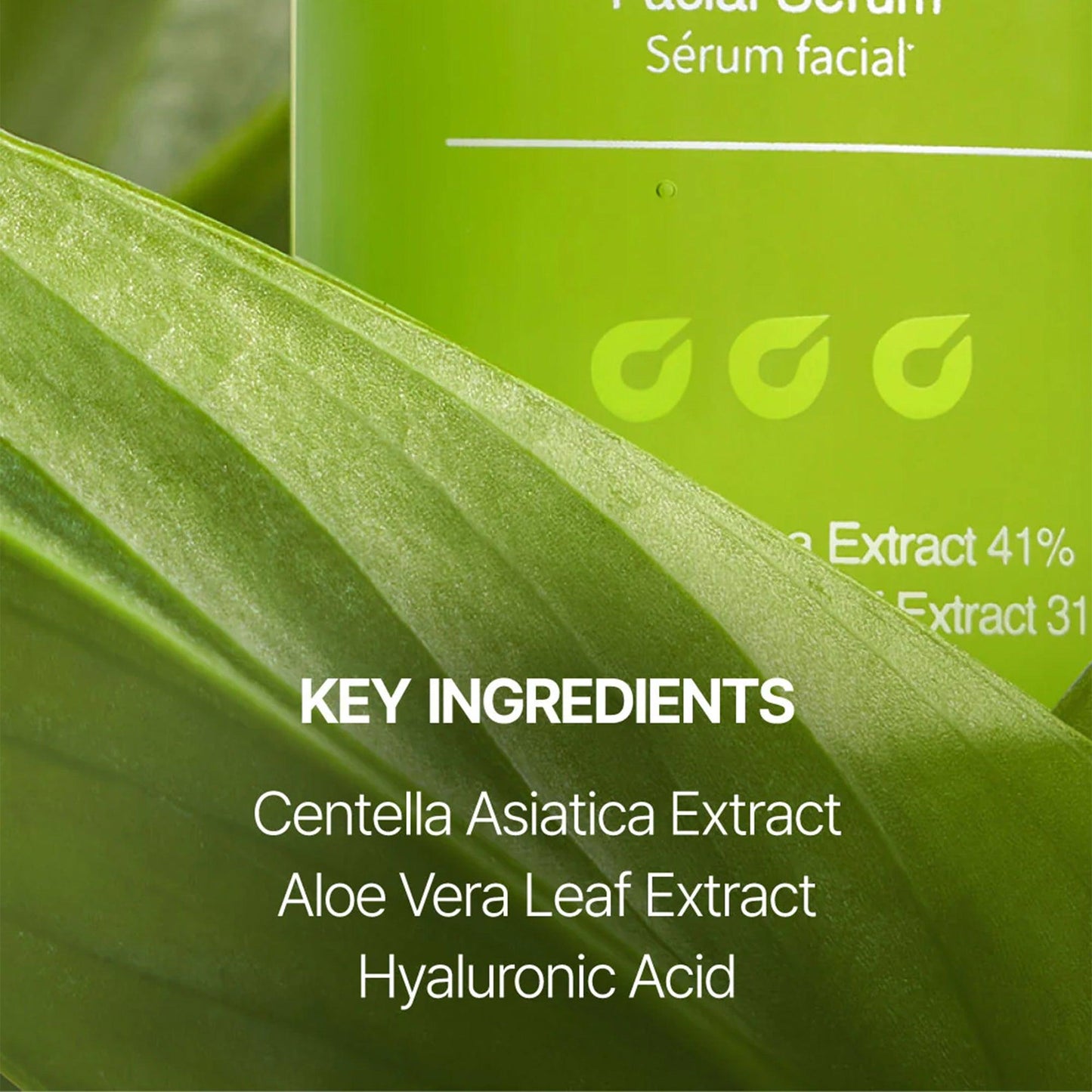 Jumiso Super Soothing Cica & Aloe Facial Serum 30ml - TheSkinFit