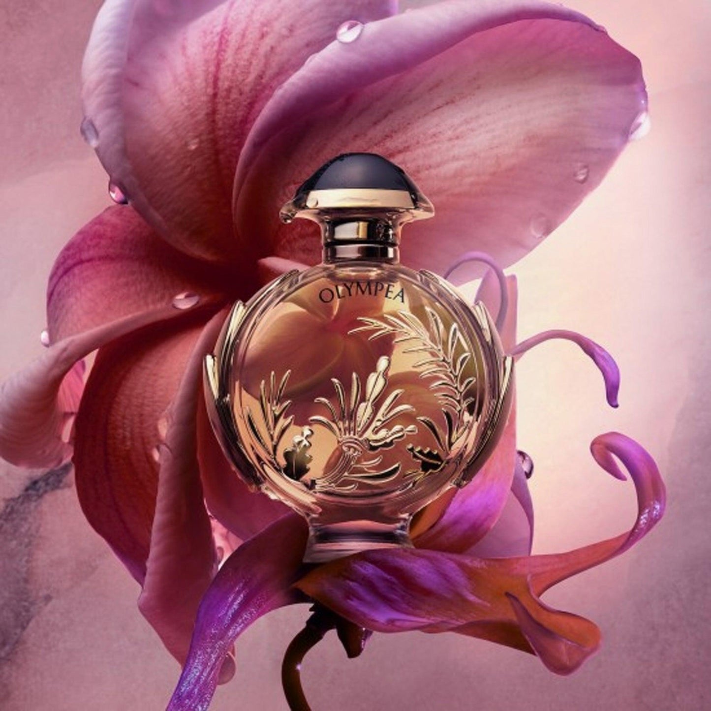 Paco Rabanne Olympea Solar Eau De Parfum Intense 80ml - TheSkinFit