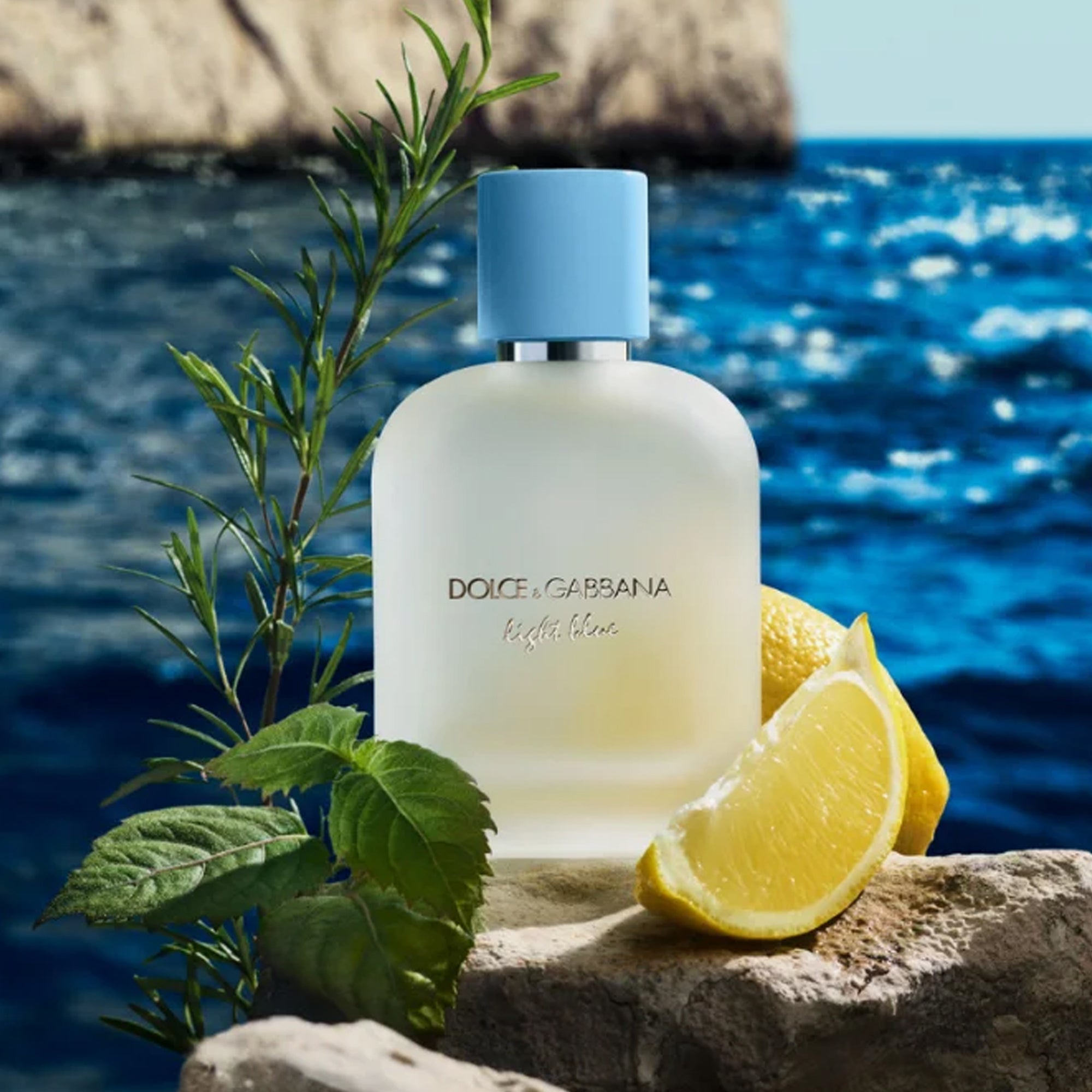 Dolce & Gabbana Light Blue Eau De Toilette For Men 100ml Reviews