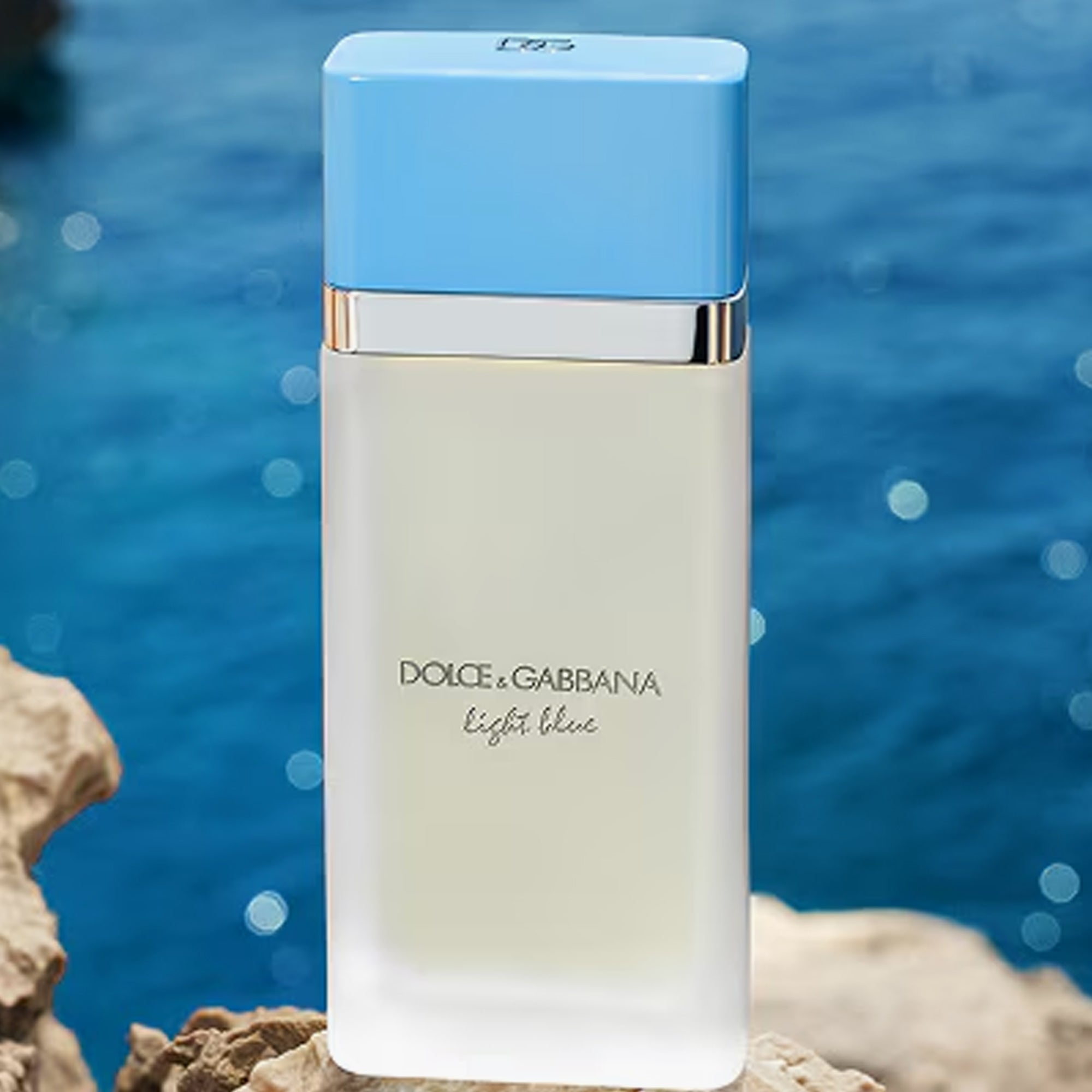 dolce & gabbana light blue eau de toilette for women 100ml price
