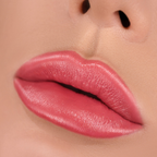 Belor Design Party Lipstick 4.3gm ingredients