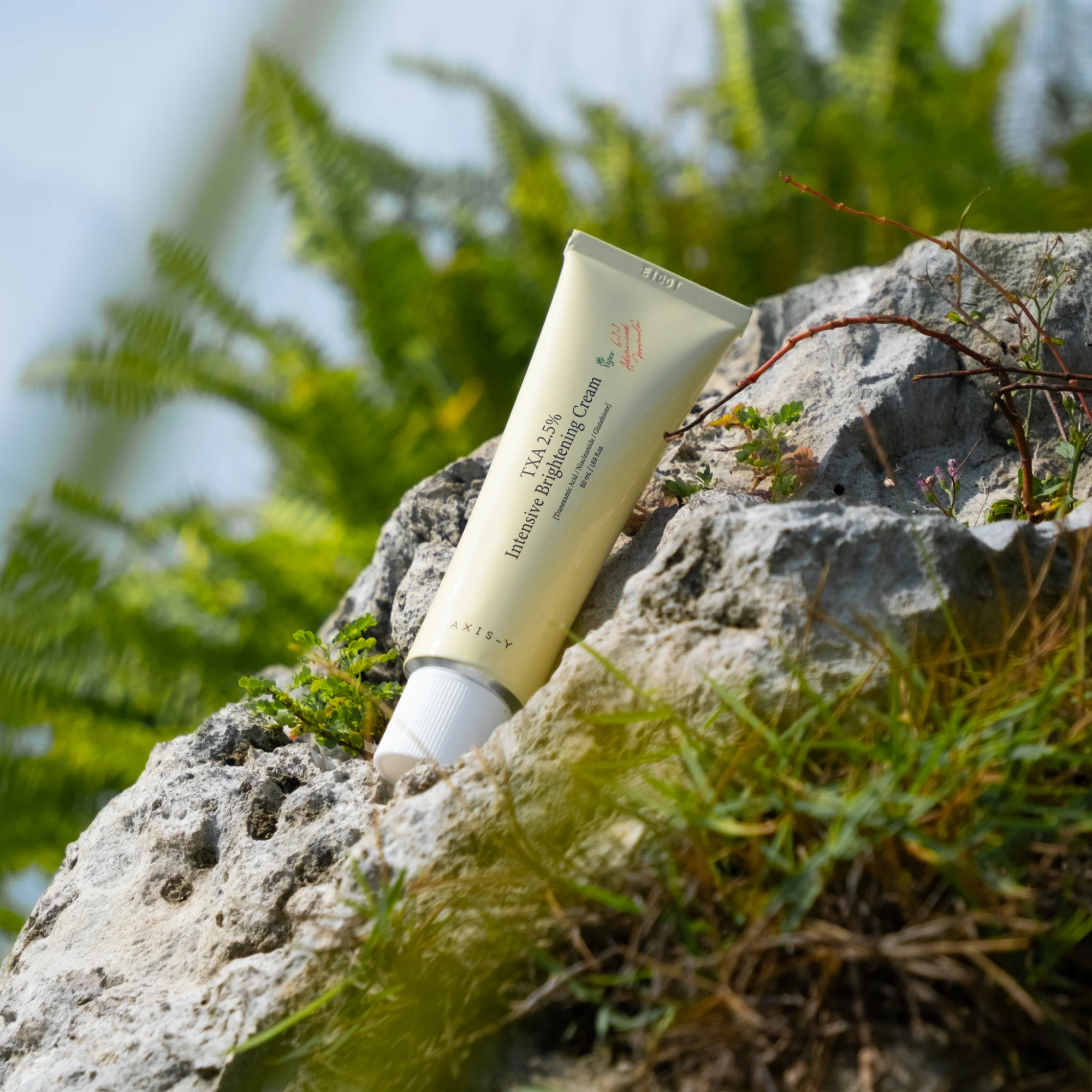 AXIS-Y TXA 2.5% Intensive Brightening Cream 50ml