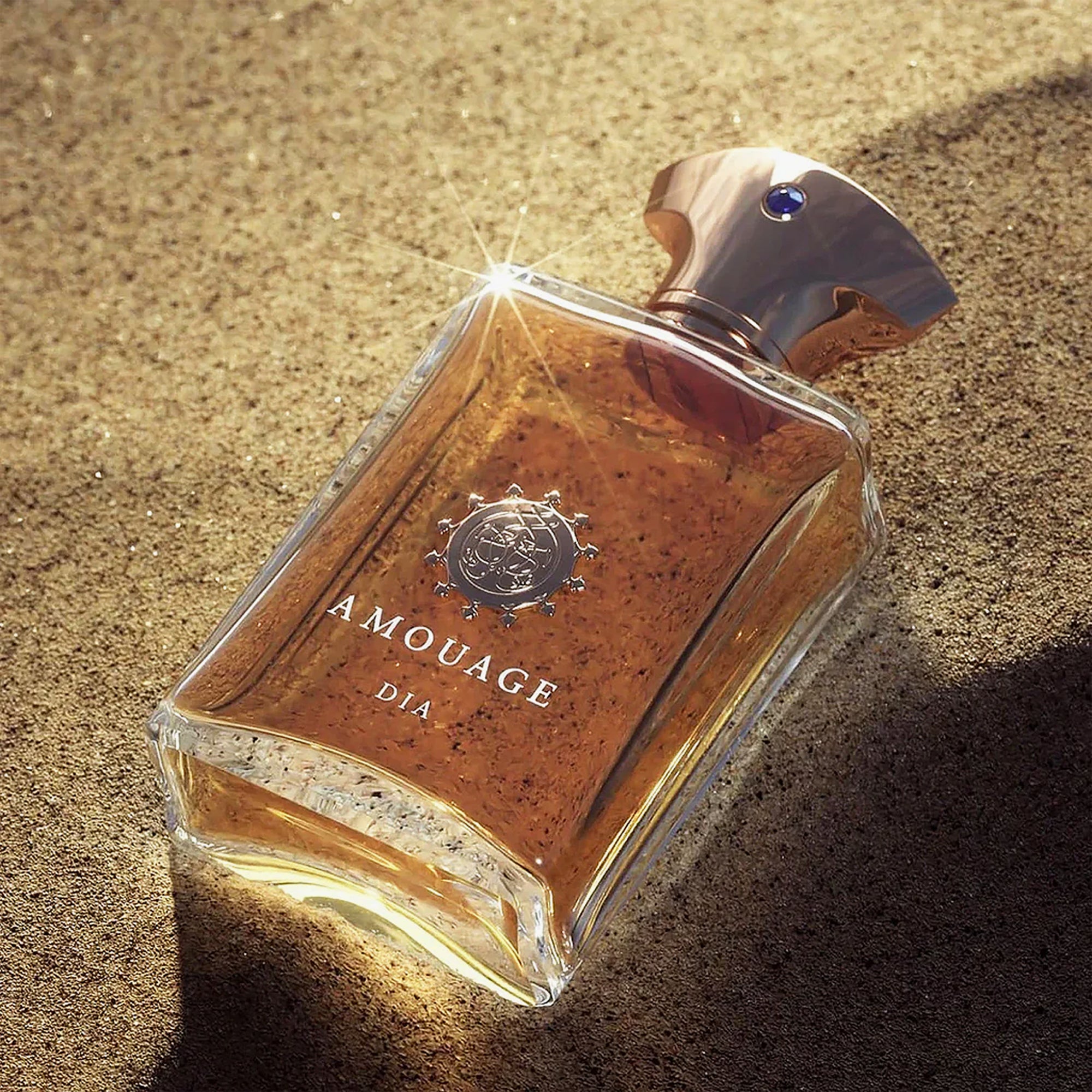 Amouage Dia Eau De Parfum For Men 100ml price in Pakistan