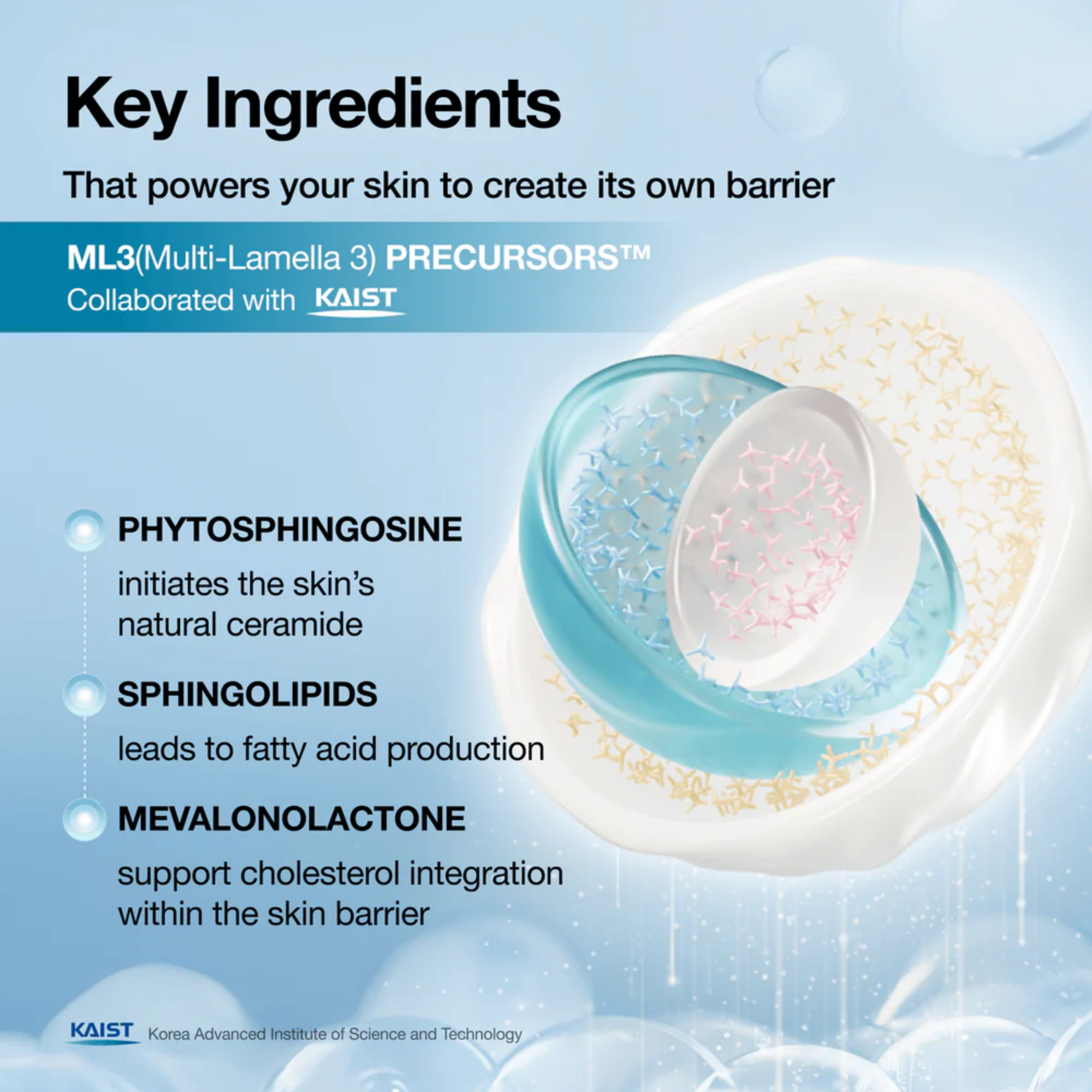 Anua Barrier Reboot Water Gel Cream