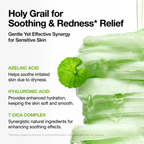 Anua Azelaic 10 Hyaluron Redness Soothing Pad 90 Pads