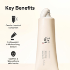 Beauty of Joseon Relief Sun Rice + Probiotics SPF50+ PA++++ Mini 10ml