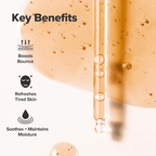 Beauty of Joseon Revive Serum Ginseng Snail Mucin 30ml