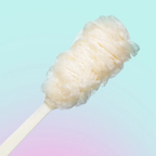 Bleuface Loofah Brush