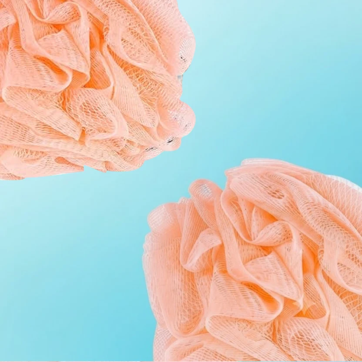Bleuface Mesh Loofah