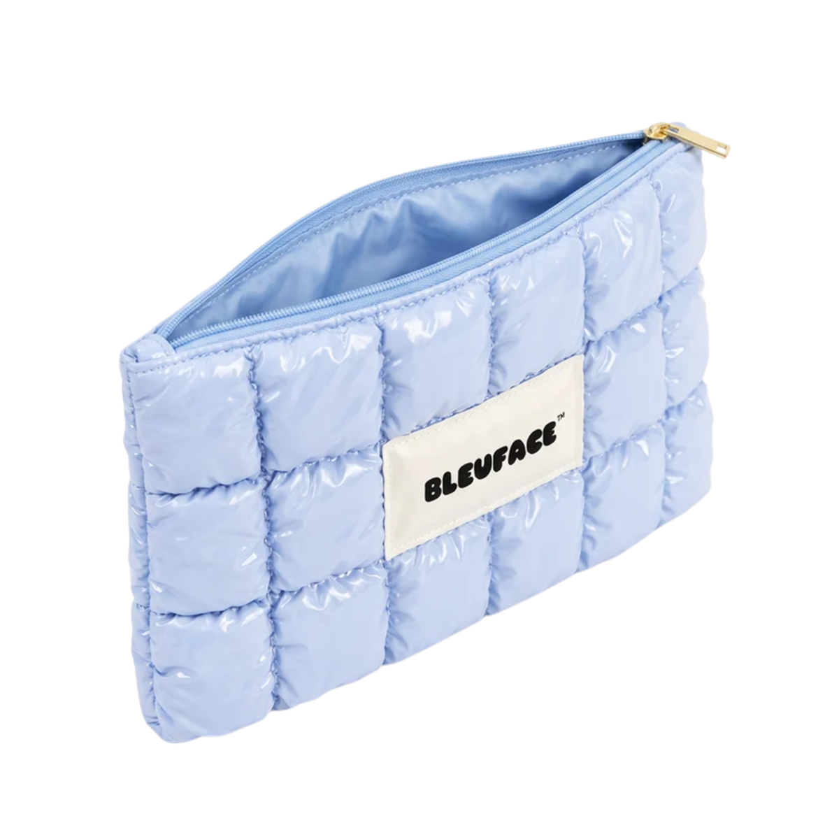 Bleuface Puffy Bag