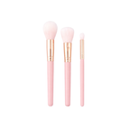 Bleuface Makeup Brushes