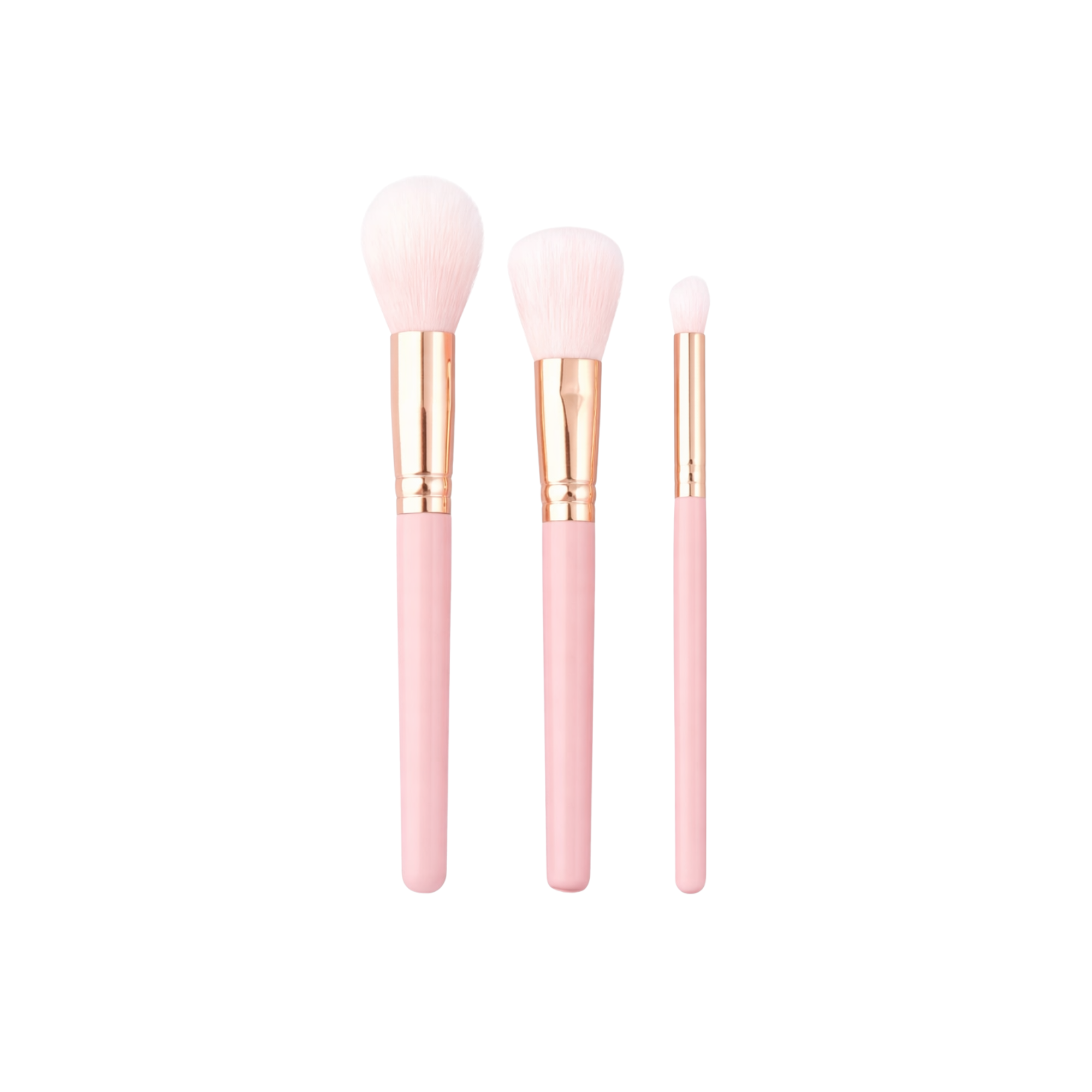 Bleuface Makeup Brushes