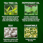 CHI Tea Tree Oil Soothing Scalp Spray