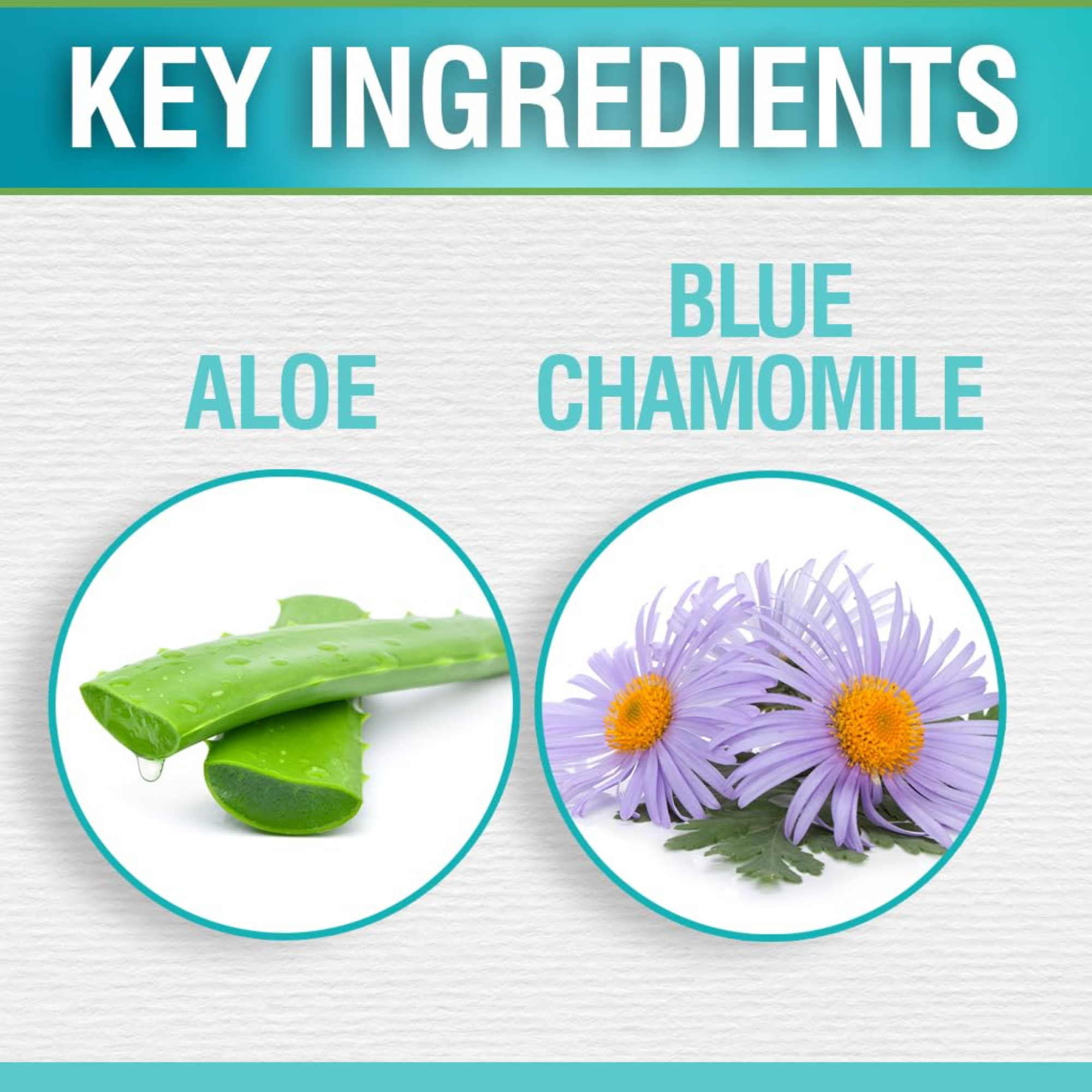 CHI CleanCare Clarifying Shampoo