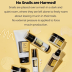 COSRX Advanced Snail Radiance Dual Essence 80ml