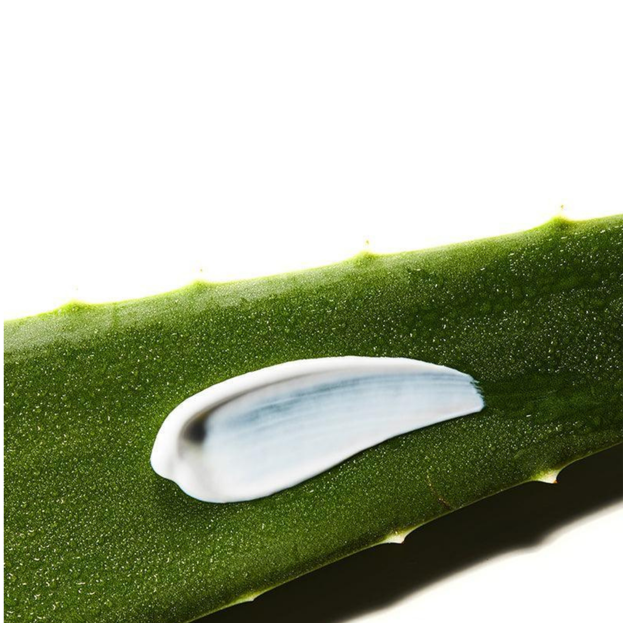 COSRX Aloe Soothing Sun Cream SPF50 PA+++ 50ml