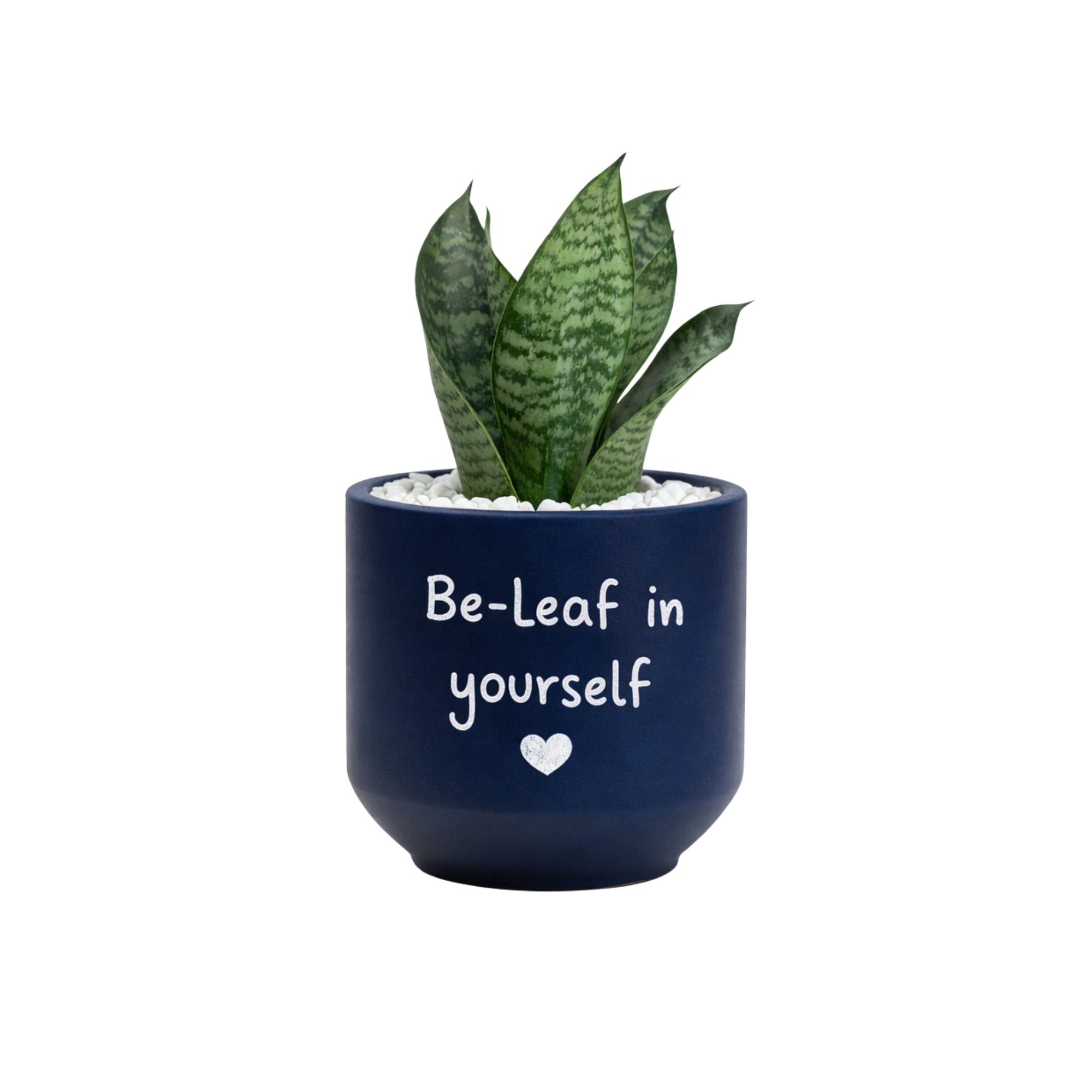 Candle Wick Store Planter Be Leaf In Yourself Only Available in Karachi