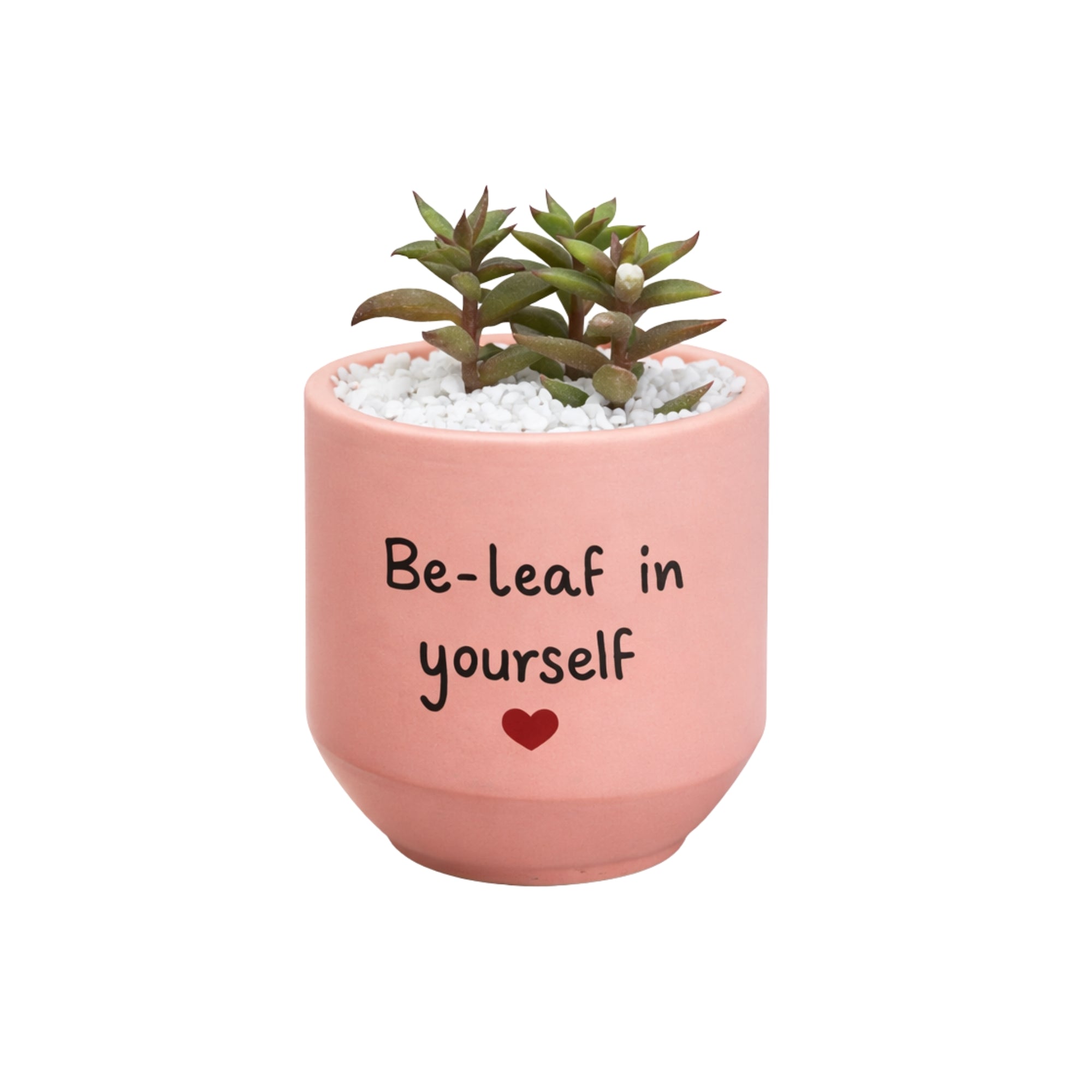 Candle Wick Store Planter Be Leaf In Yourself Only Available in Karachi