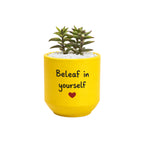 Candle Wick Store Planter Be Leaf In Yourself Only Available in Karachi