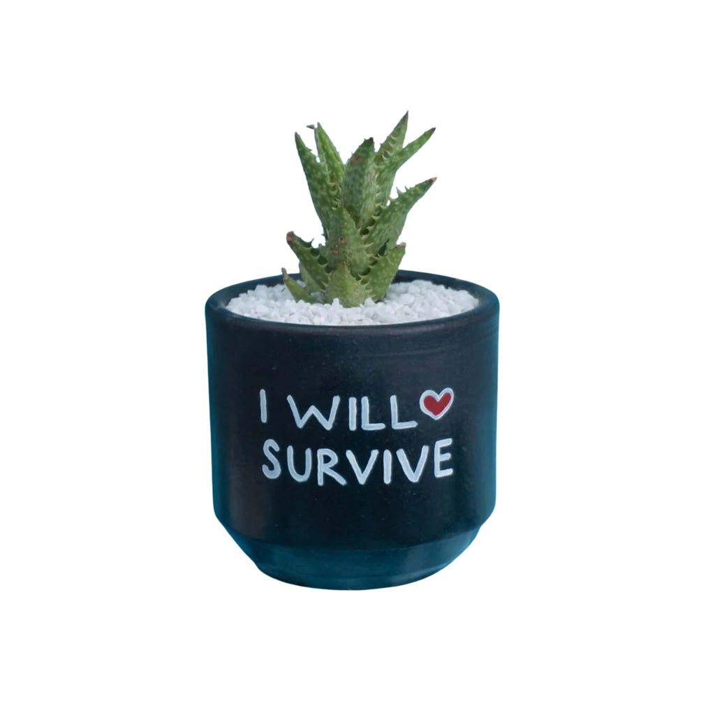 Candle Wick Store Planter I Will Survive (Only Available in Karachi)