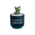 Candle Wick Store Planter I Will Survive (Only Available in Karachi)