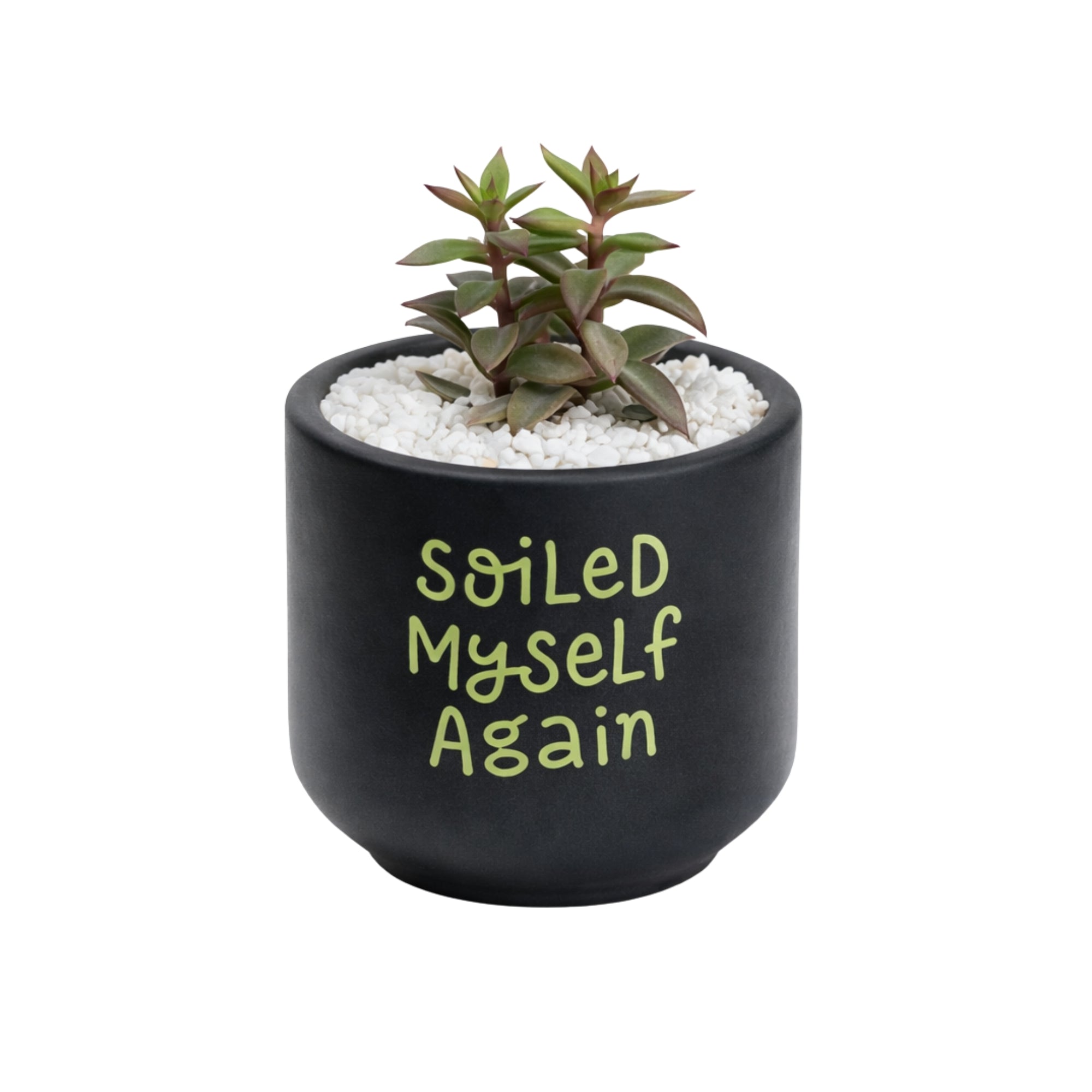 Candle Wick Store Planter Soiled Myself Again Only Available in Karachi