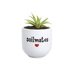 Candle Wick Store Planter Soil Mates (Only Available in Karachi)