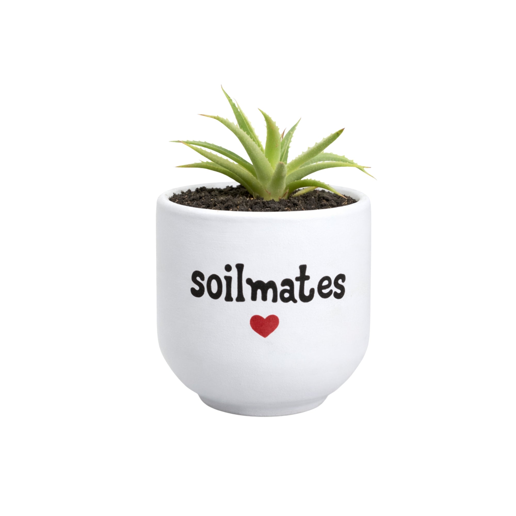 Candle Wick Store Planter Soil Mates (Only Available in Karachi)