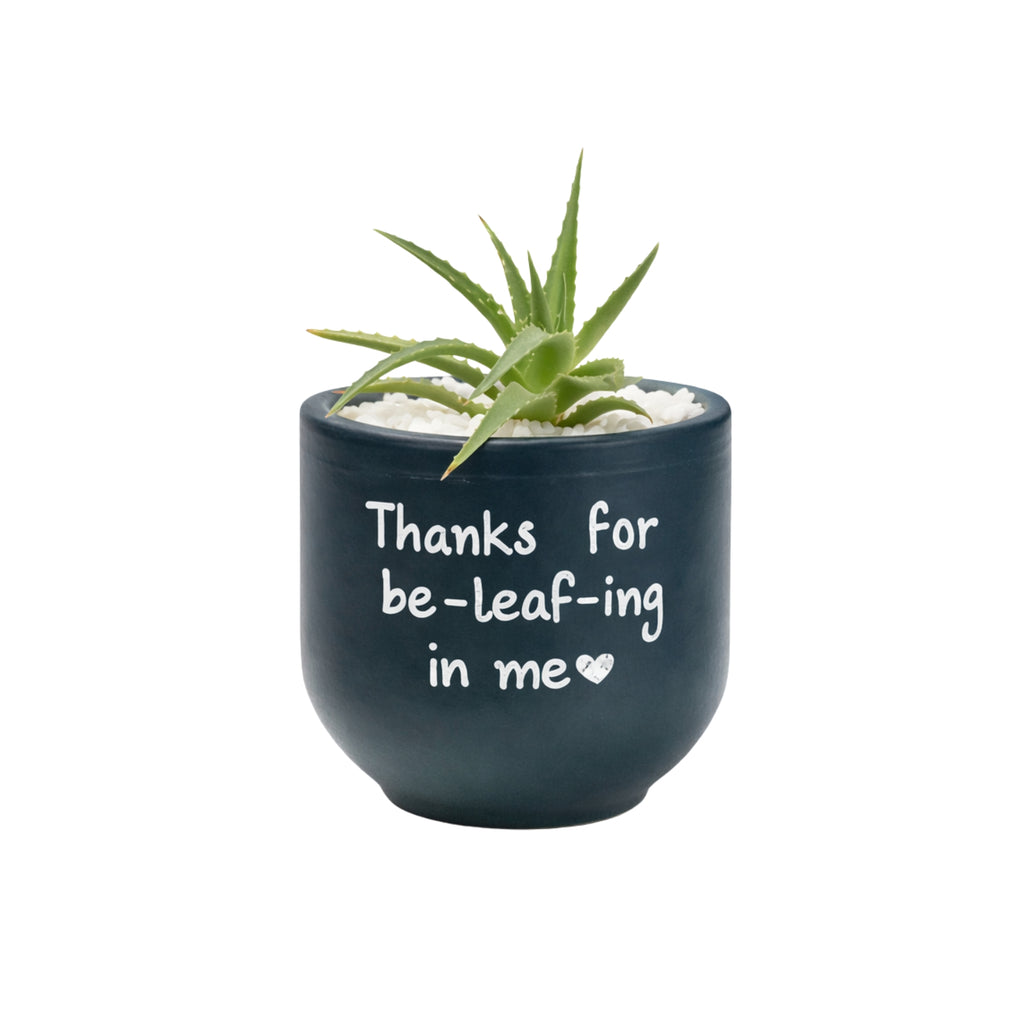 Candle Wick Store Planter Thanks For Be-Leaf-ing In Me (Only Available in Karachi)