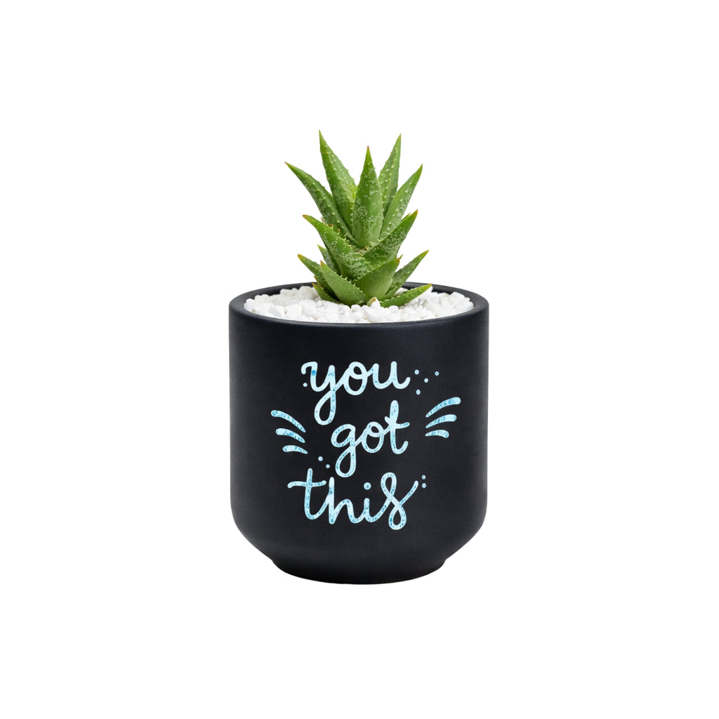 Candle Wick Store Planter You Got This (Only Available in Karachi)