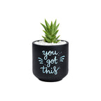 Candle Wick Store Planter You Got This (Only Available in Karachi)