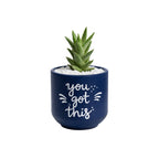 Candle Wick Store Planter You Got This (Only Available in Karachi)