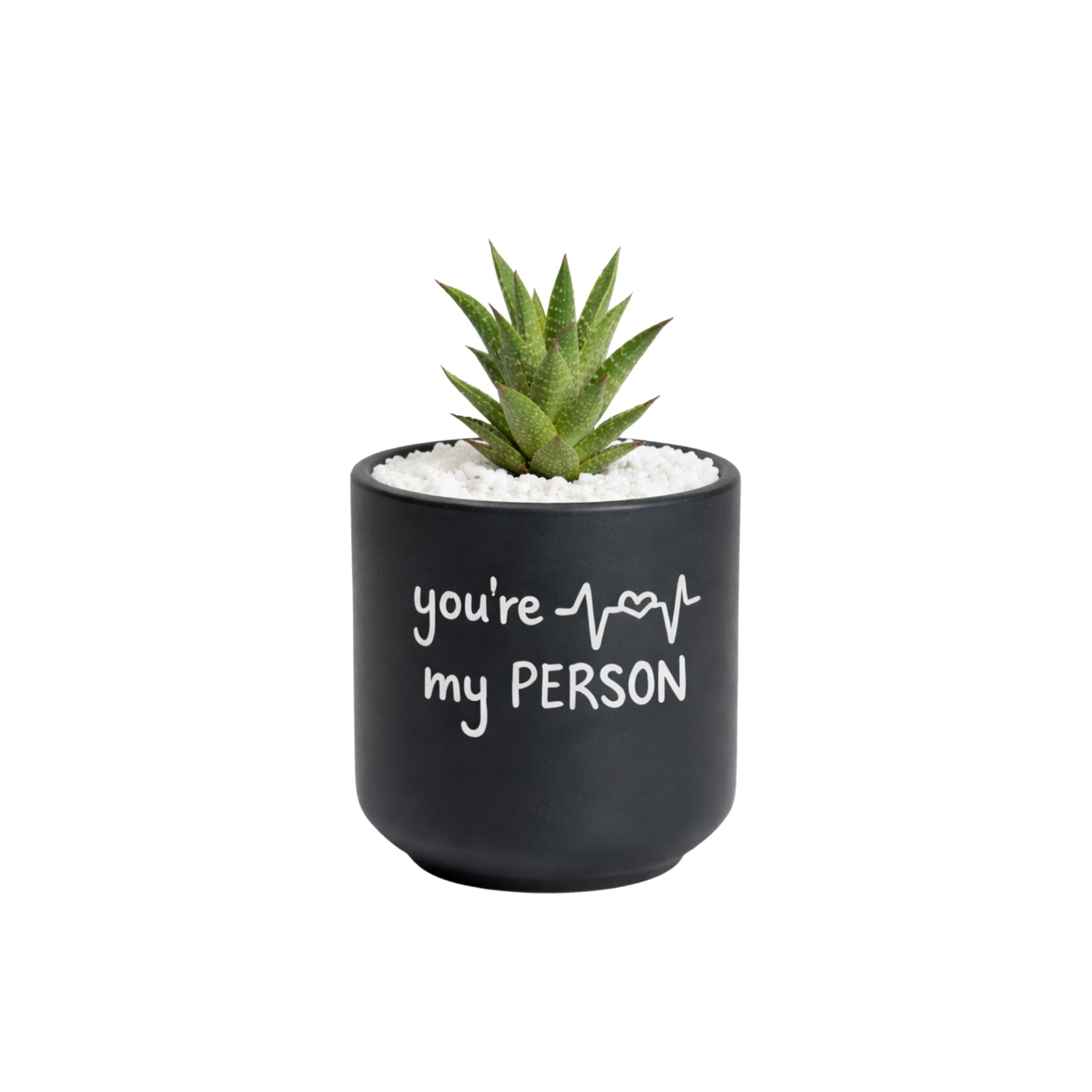 Candle Wick Store Planter You’re My Person (Only Available in Karachi)