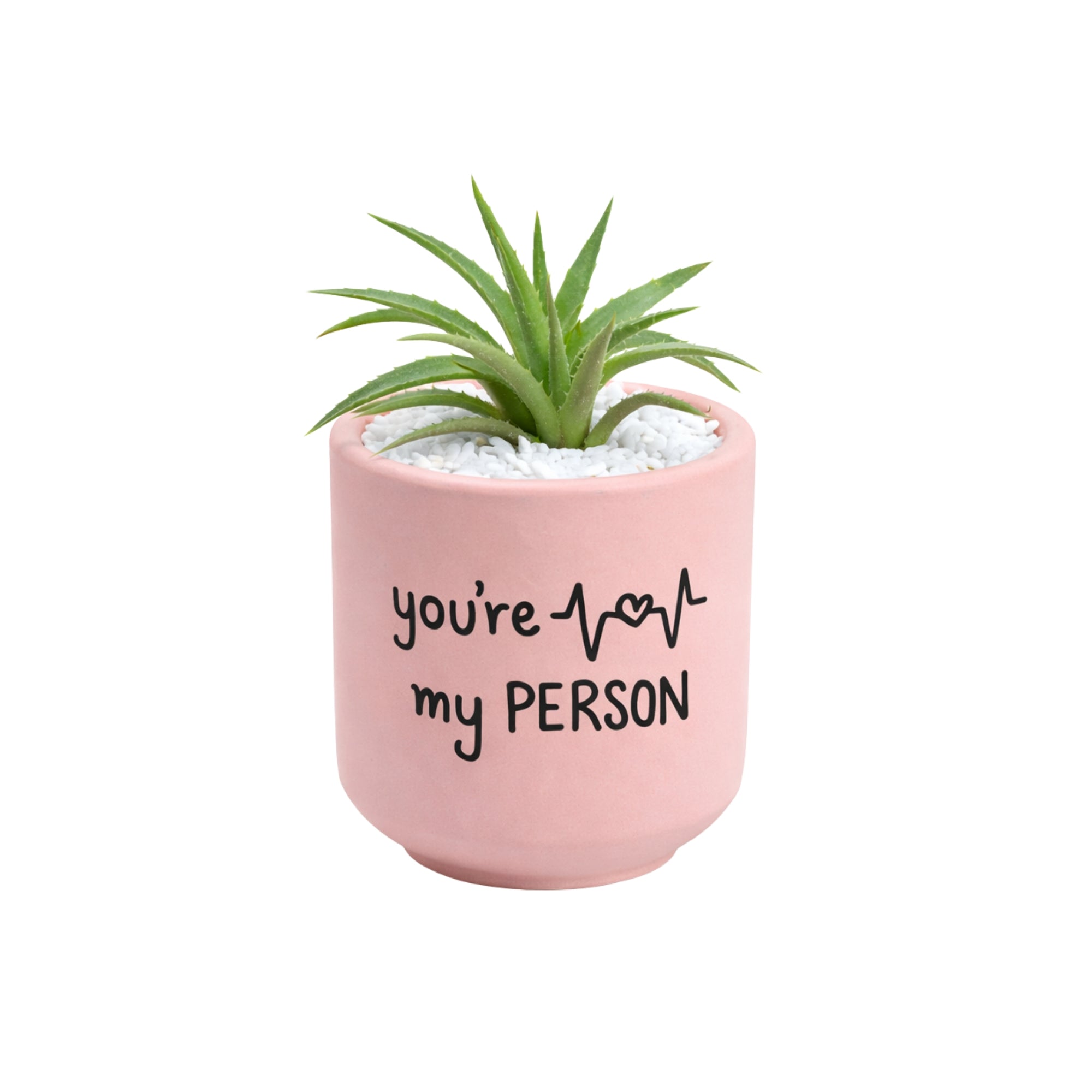 Candle Wick Store Planter You’re My Person (Only Available in Karachi)