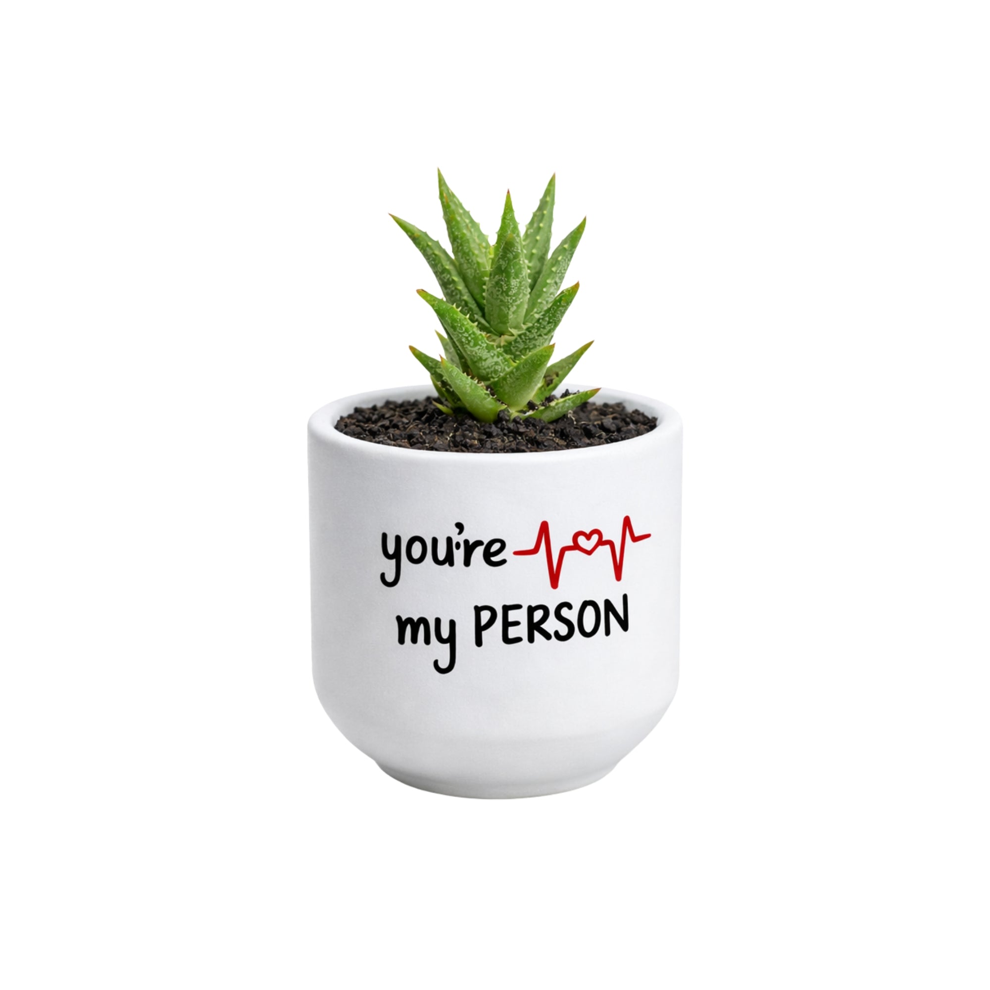 Candle Wick Store Planter You’re My Person (Only Available in Karachi)