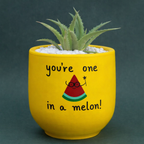 Candle Wick Store Planter You’re One in a Melon Only Available in Karachi