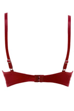 BLS Costanza Wired And Pushup Bra Bordory